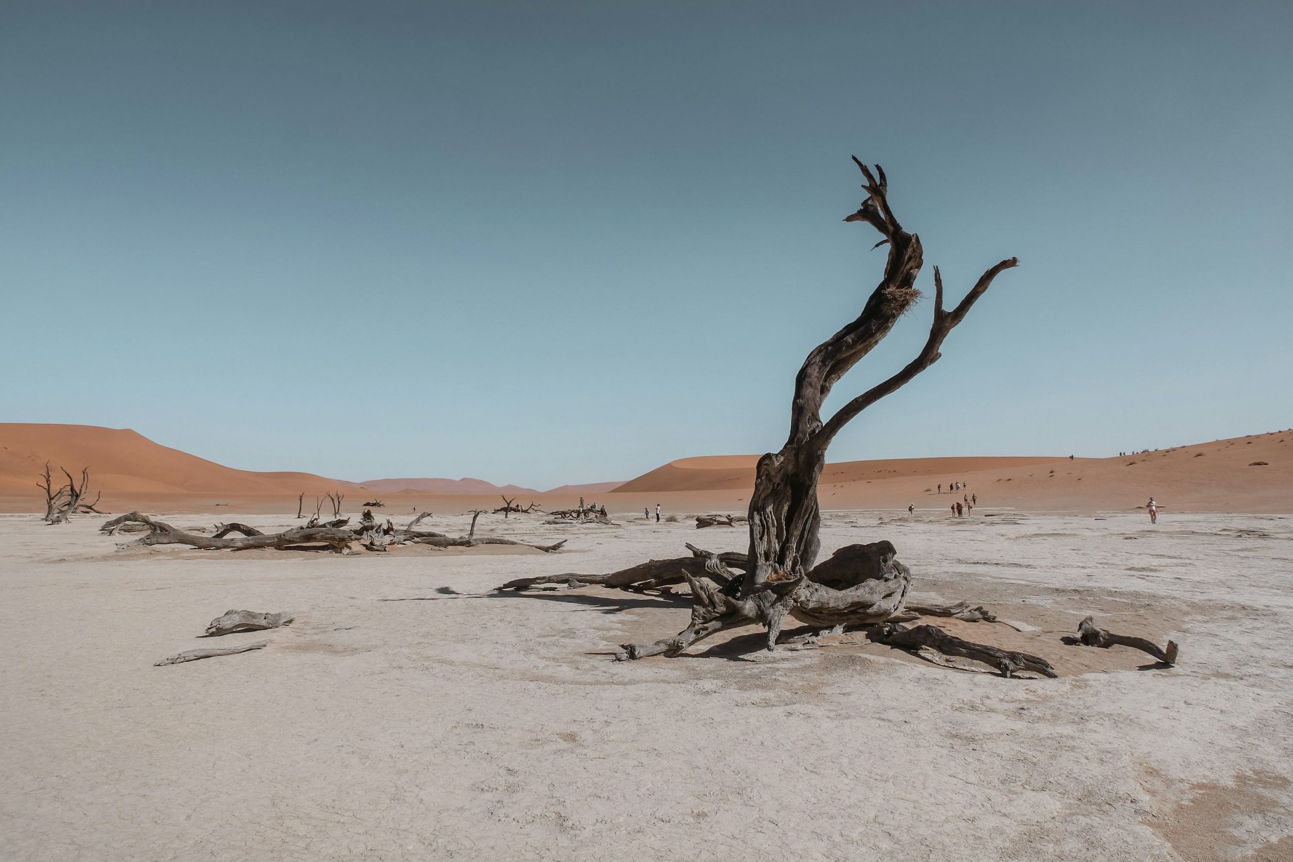 You are currently viewing Mirage of the common home