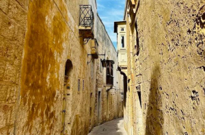 Read more about the article Ħatriet pubbliċi bil-favuri